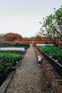 baby friendly stay at the pig hotel