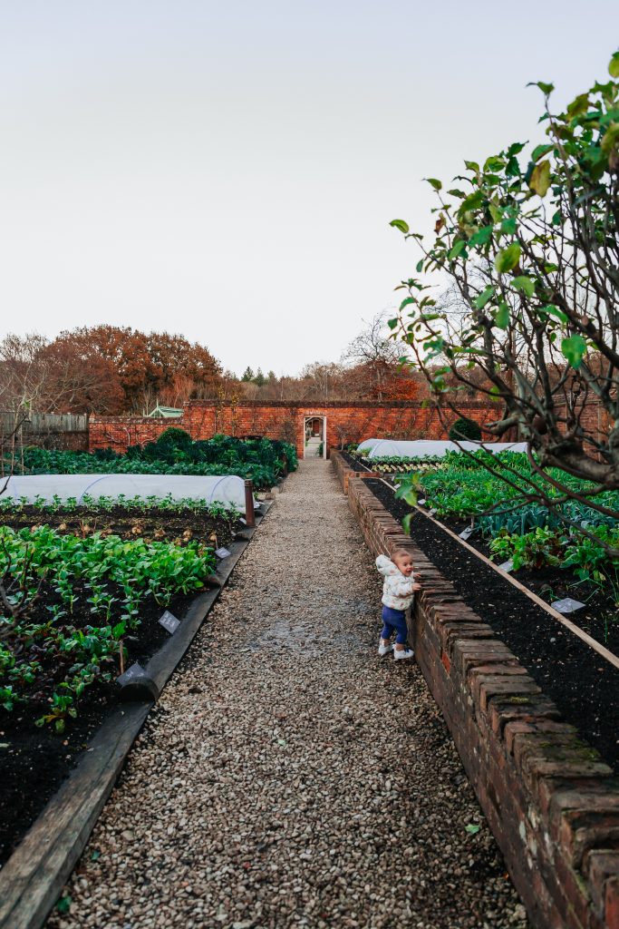 baby friendly stay at the pig hotel