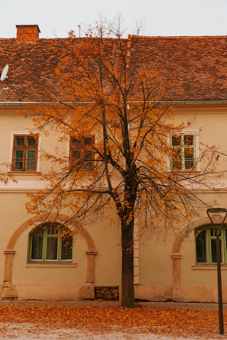 Îs Cluj-Napoca worth visiting?