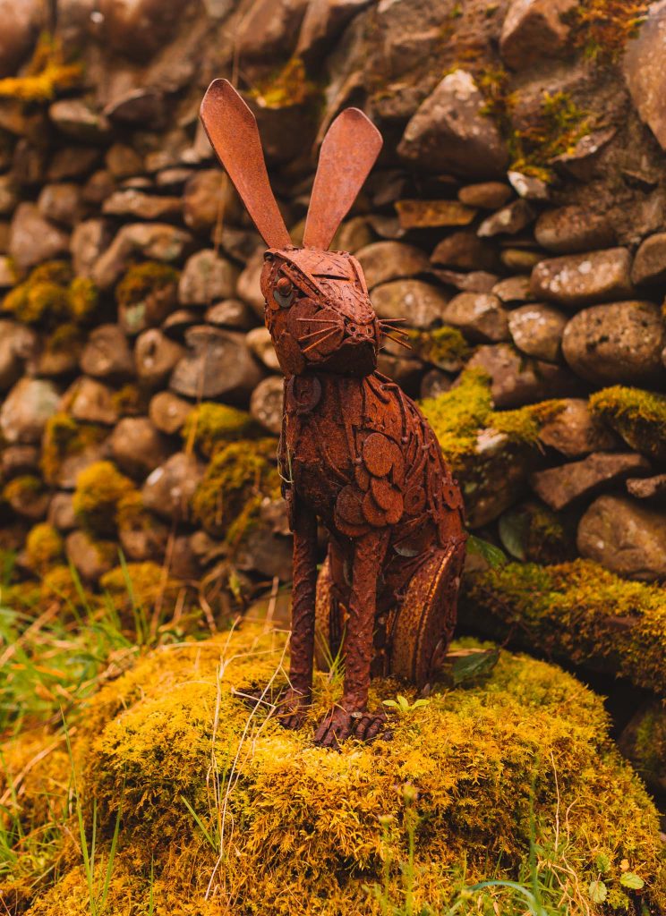 what to do in dumfries and galloway