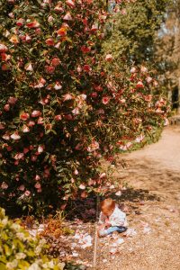 what to see in north norfolk
