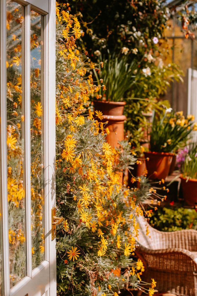 East ruston vicarage gardens