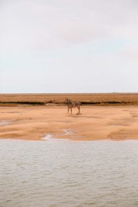 best beaches in norfolk