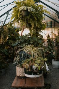 Free things to do in Portland
