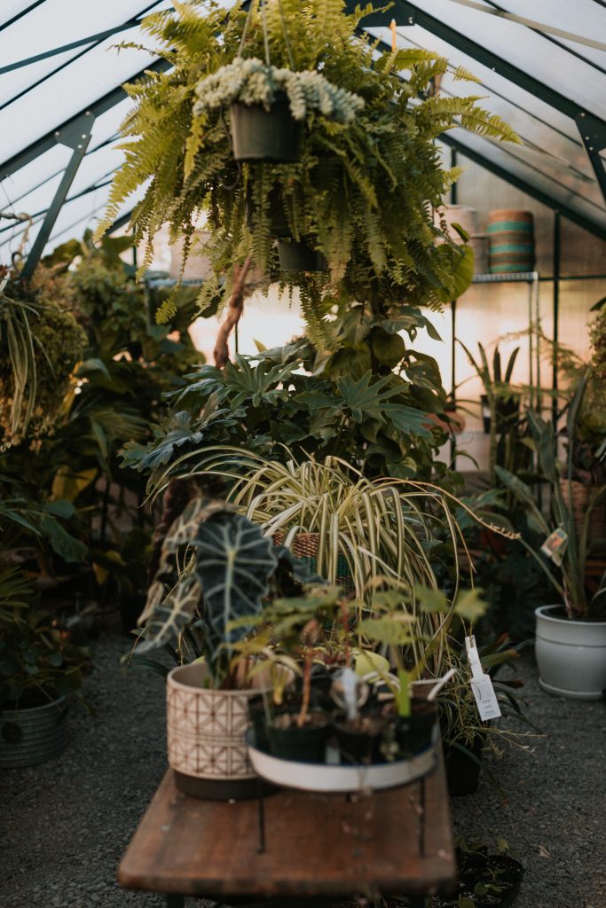 Free things to do in Portland