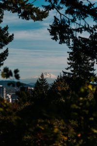 Everything you need to know when planning a Pacific Northwest road trip