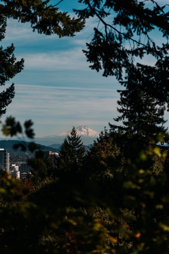 Everything you need to know when planning a Pacific Northwest road trip
