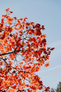 Free things to do in Portland