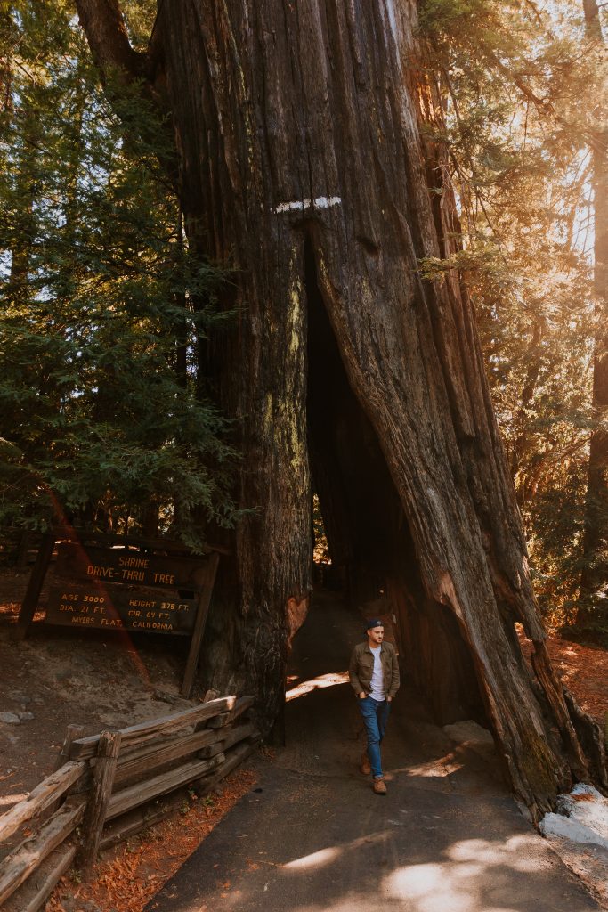 Road trip from Seattle to San Francisco