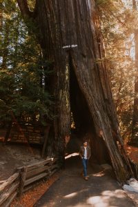 Everything you need to know when planning a Pacific Northwest road trip