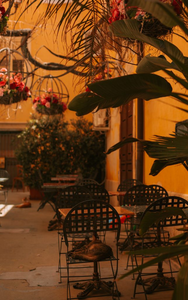 day trip from Taormina to Syracuse