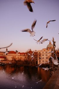 things to do in prague in winter