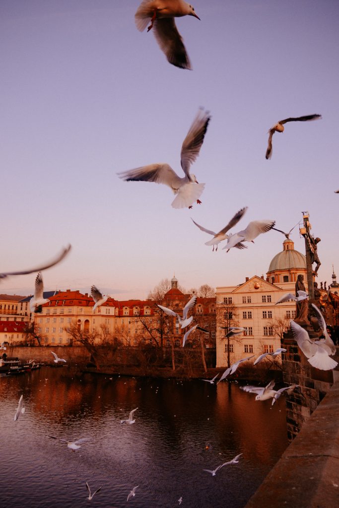 things to do in prague in winter
