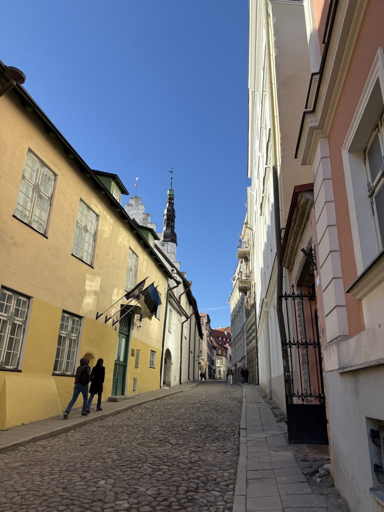 best things to do in tallinn