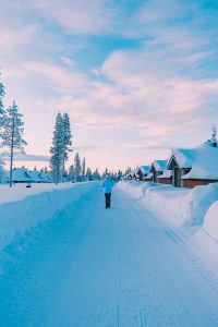 Inghams Lapland