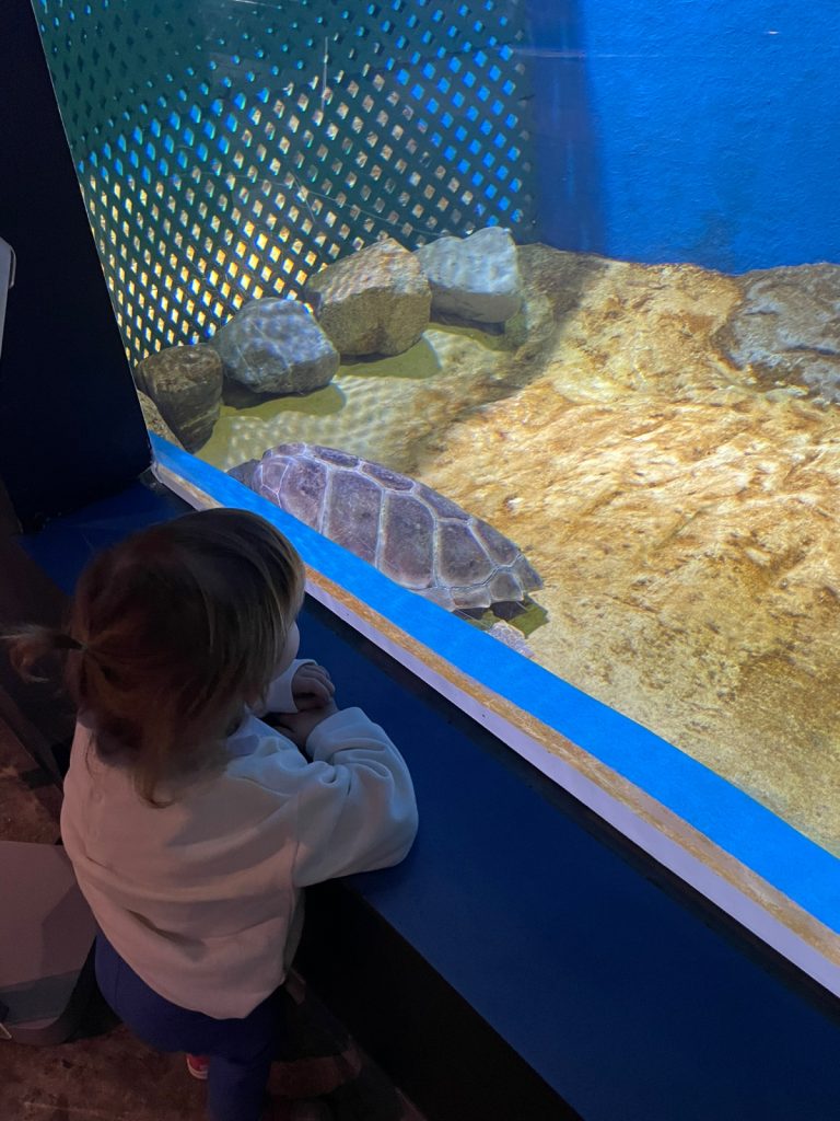 seville aquarium