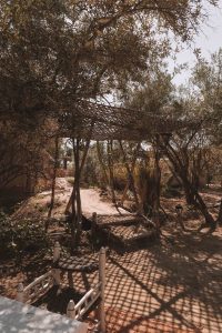 5 days in Marrakech