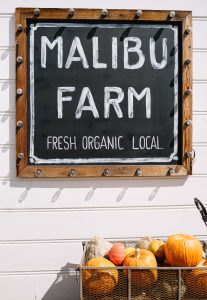 day trip to malibu