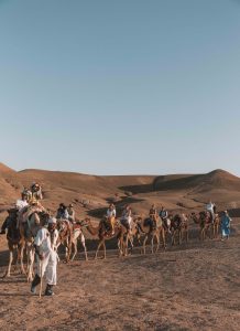 Best Places to Travel to With a Baby or Toddler 2022