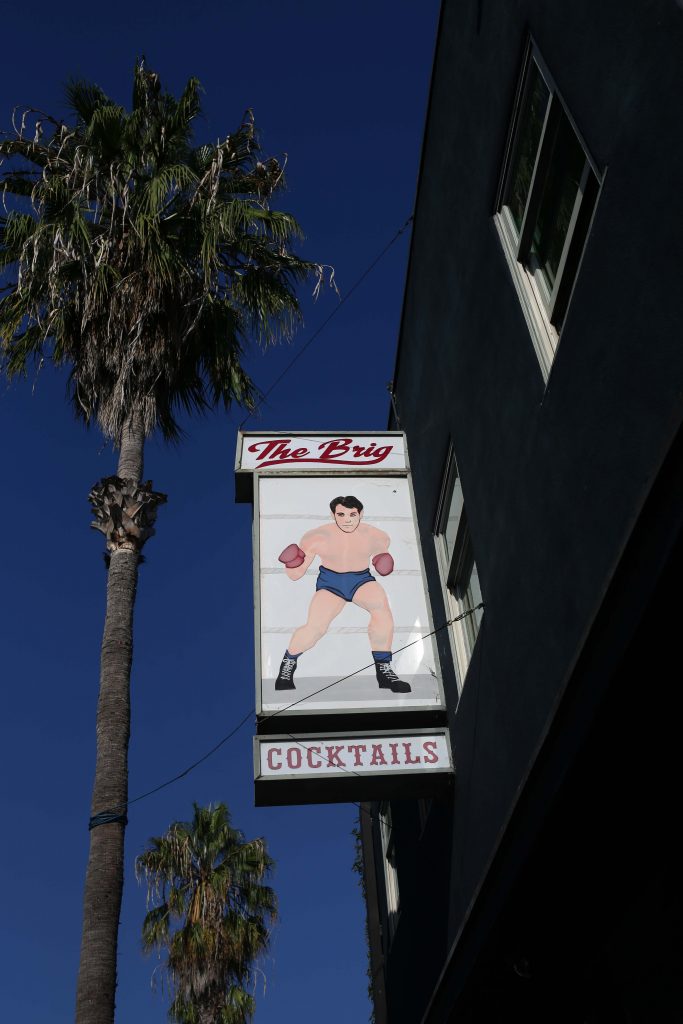 things to do in Venice Beach, Los Angeles