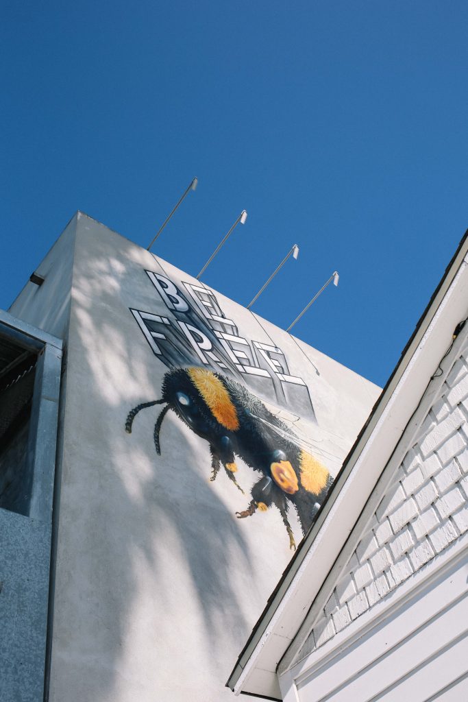 things to do in Venice Beach, Los Angeles