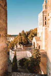 things to do in avignon