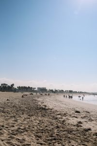 One Day in LA