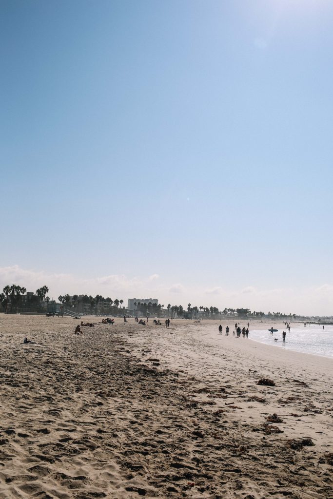 One Day in LA