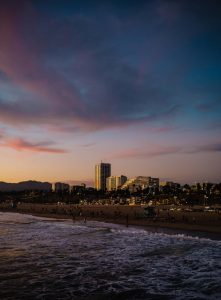 things to do in venice beach