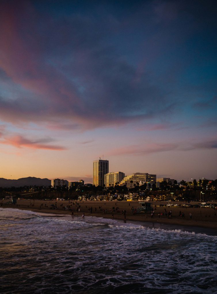 things to do in venice beach