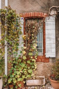 A guide to autumn in Provence