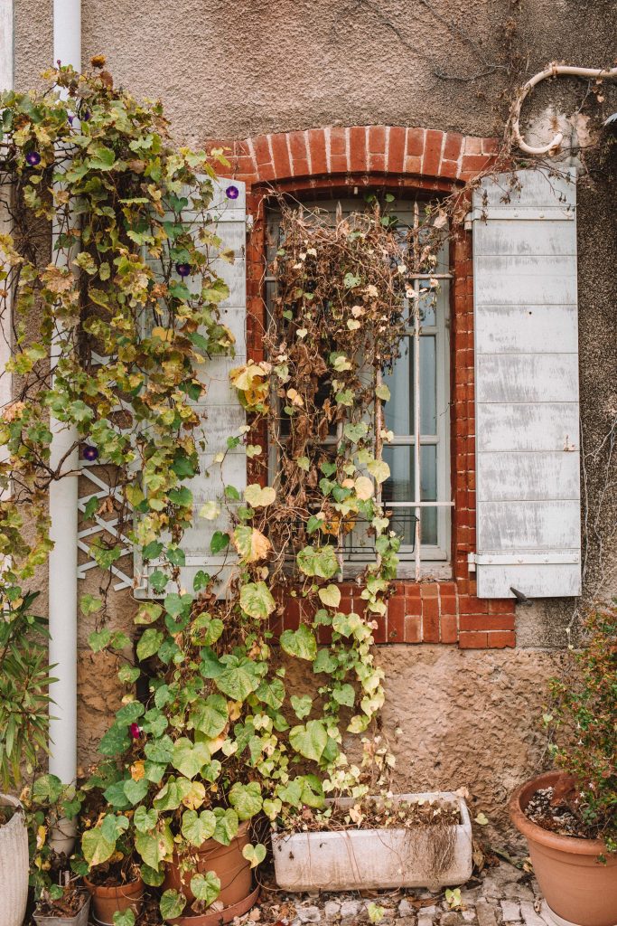 A guide to autumn in Provence