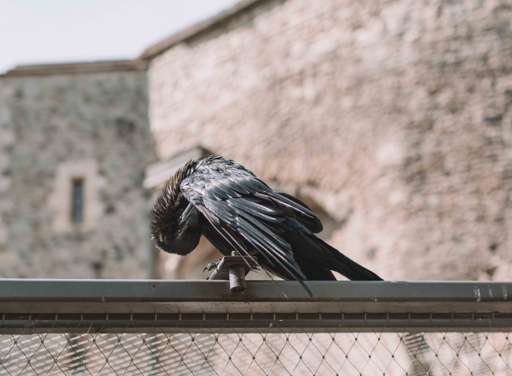 A day trip to Tower of London