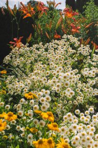 hillsborough gardens tickets