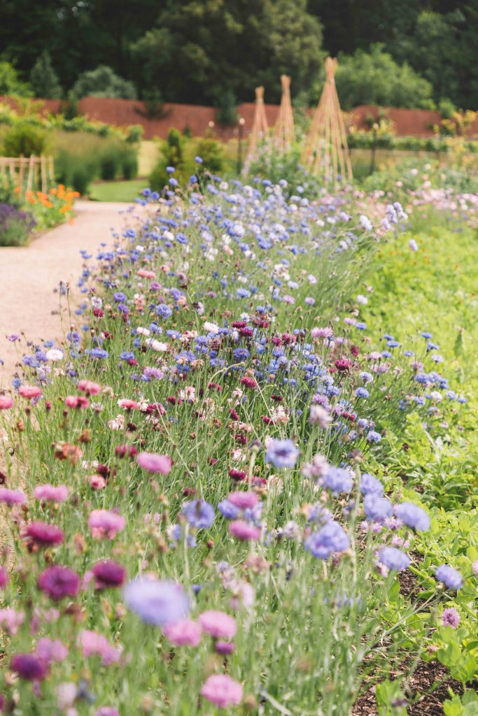 hillsborough gardens
