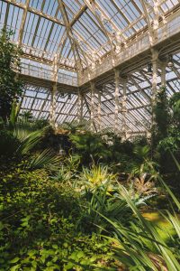 Kew gardens