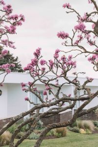 An itinerary for a short break to Jersey