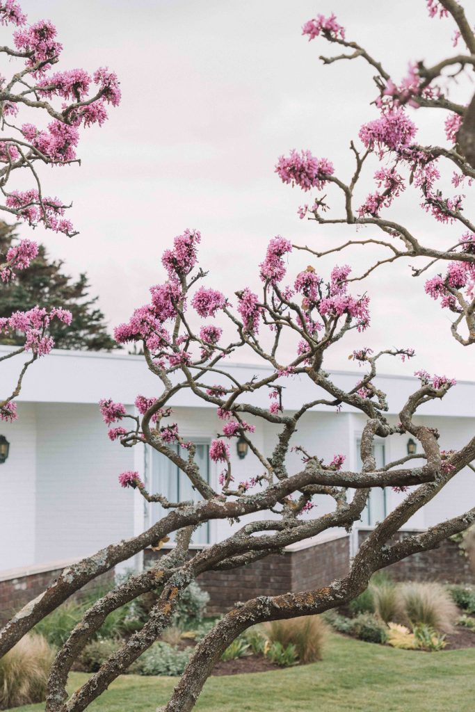 An itinerary for a short break to Jersey