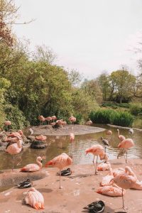 An itinerary for a short break to Jersey